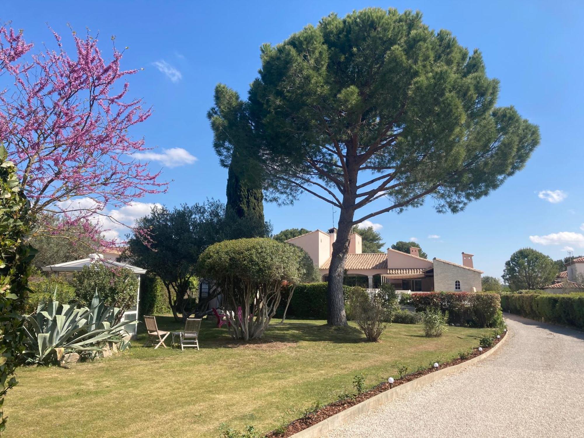 Les Bougainvillees De Camargue Villetelle Eksteriør billede